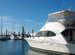 Boat Insurance